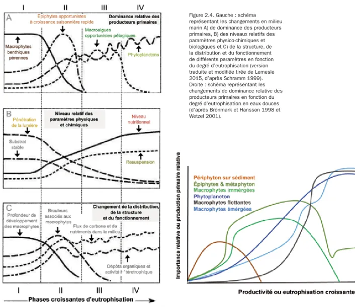 Figure 2.4. Gauche : schéma 