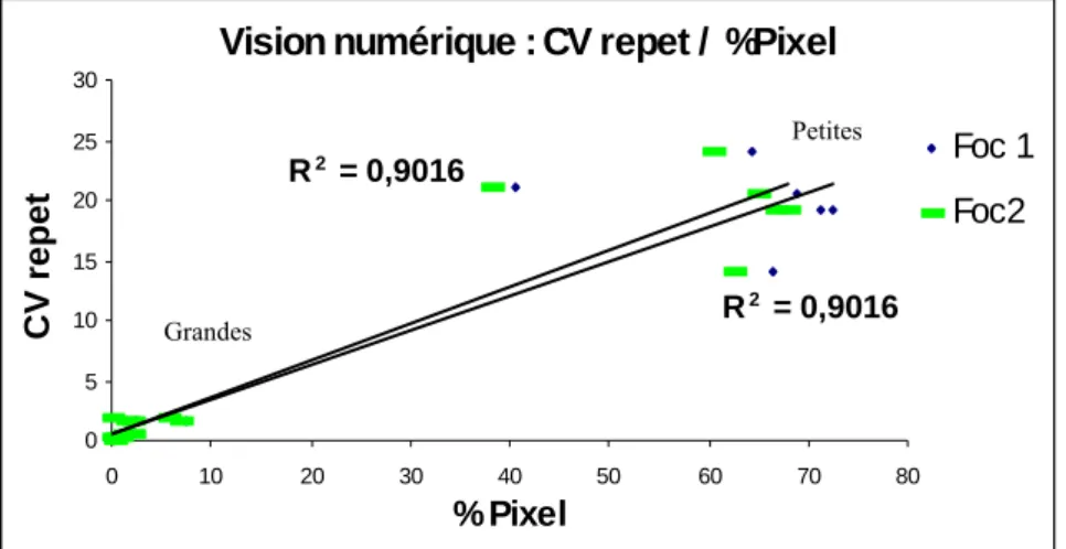 Figure 34 : Importance de la taille relative des pixells dans les mesures sur la précision  des mesures réalisées en vision numérique