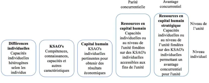 Figure 2. Les différences entre les construits autour du capital humain 