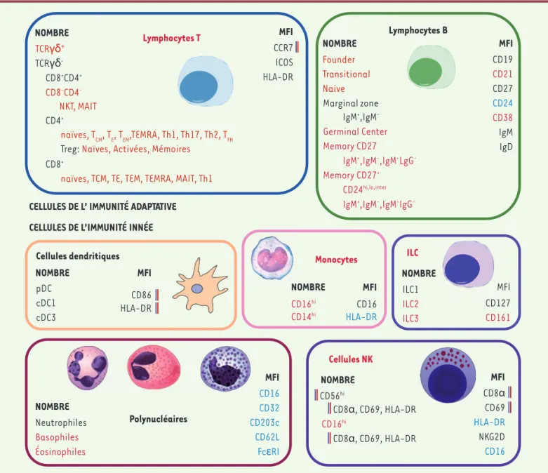 Figure 1. Les déterminants héréditaires et non héréditaires des phénotypes de cellules immunitaires à l’état basal