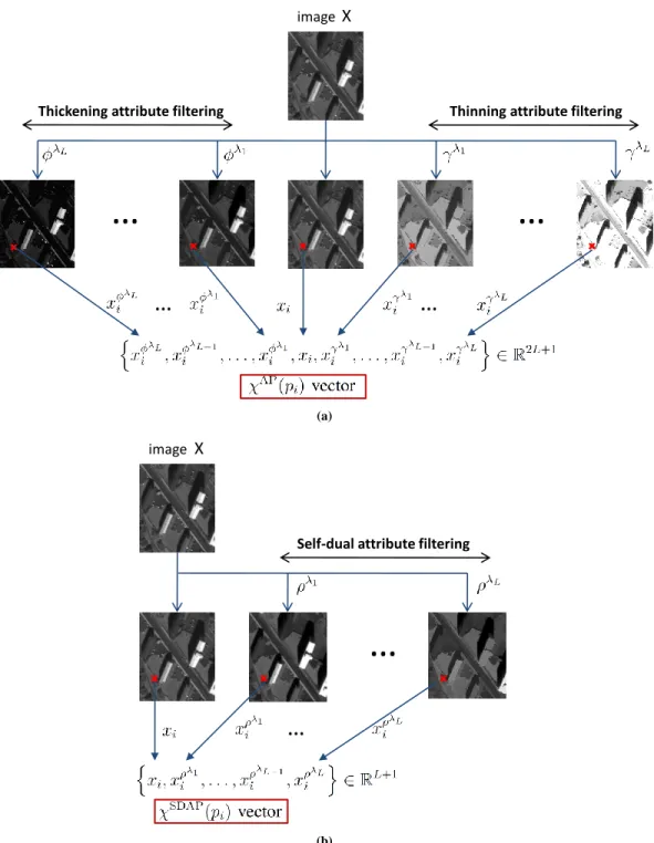 Fig. 1. Generation of (a) attribute profiles (APs) and (b) self-dual attribute profiles (SDAPs) from a grayscale image.