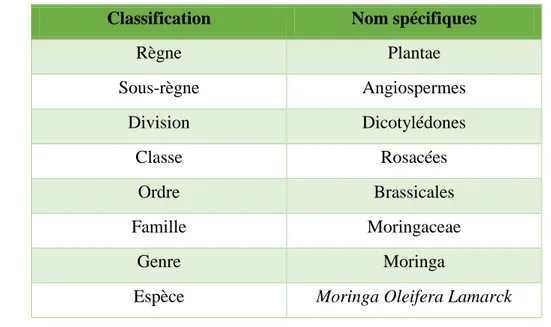 Tableau I. 2: La classification systématique de Moringa Oleifera [19]. 