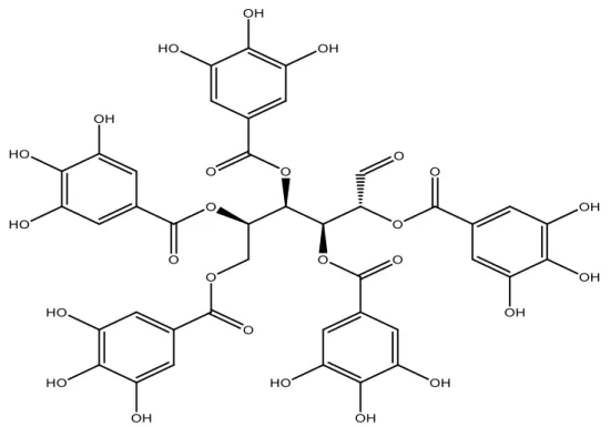 Figure II. 2: Exemple des tanins hydrolysables (penta-O-galloylglucose). 