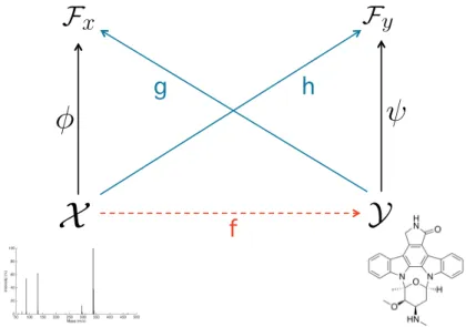 Figure 1. Schematic illustration of IOKR and IOKRreverse approaches. IOKR learns a function h to map MS/MS spectra to a molecular feature space F y , whereas IOKRreverse learns a function g to map the molecular structures to a MS/MS feature space F x .