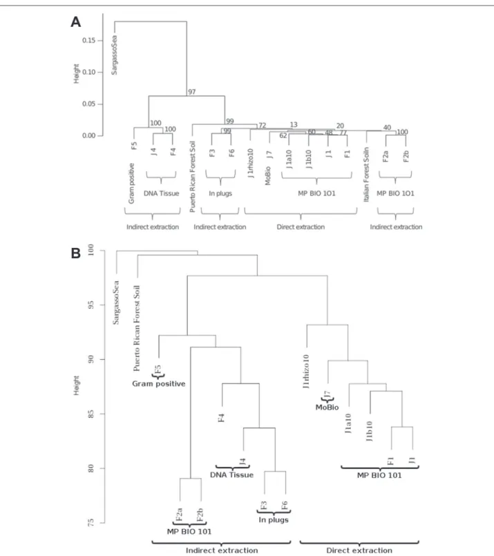 Fig. 8 Dendrograms from MetaSoil study. a Fig. from [29] showing the cluster tree, constructed using Euclidean distances, confronting 13 samples others soil metagenomes (Puerto Rican Forest soil and Italian Forest Soil) and a metagenome from Sargasso Sea (
