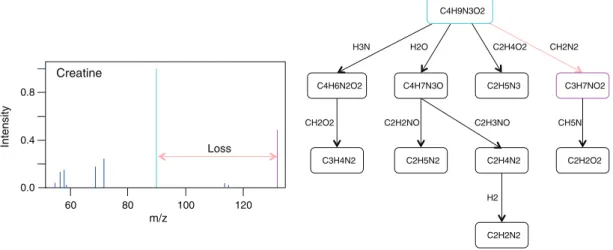 Table 2. Description of the input kernels used in this article