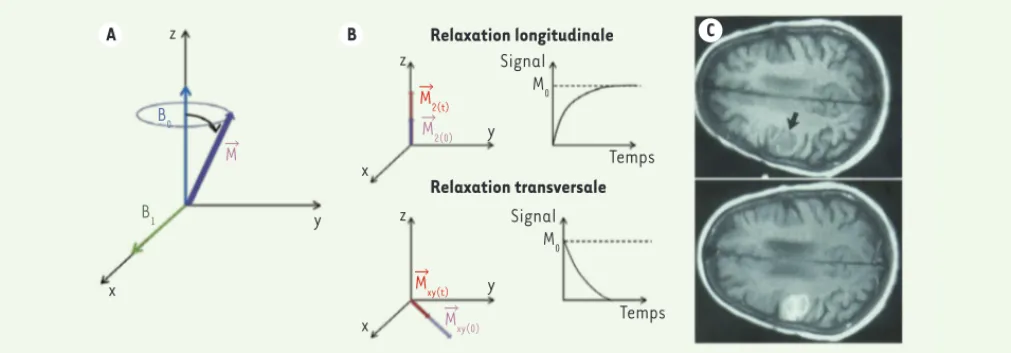 Figure 1. A. Bascule de l’aimantation après application d’un champ magnétique B 1 . B