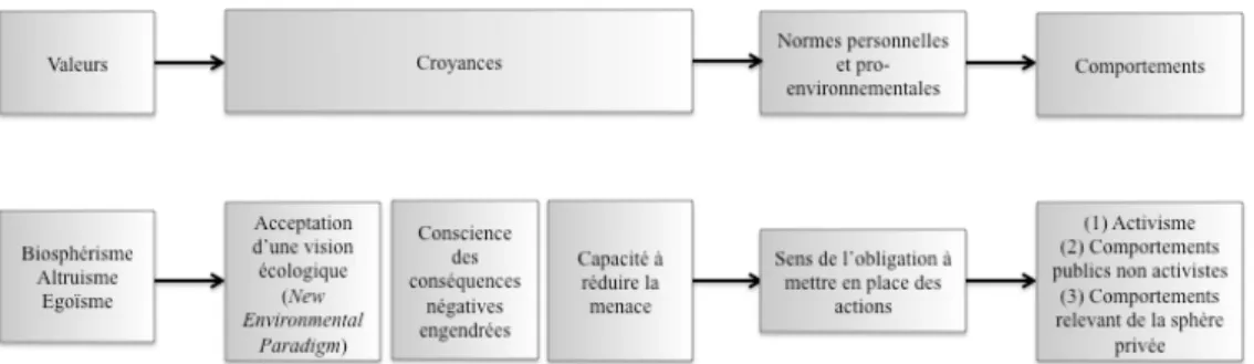 Figure 6. Théorie Valeur-Croyance-Norme (VCN) (d’après Stern, 2000) 