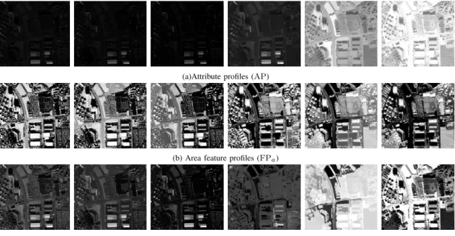 Fig. 3. Visualization of attribute profiles and feature profiles generated from the Reykjavik image using three area thresholds λ a = {100,5000,50000}.