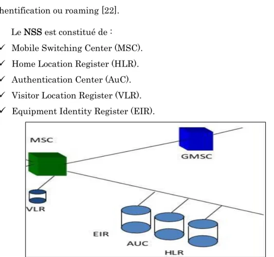 Figure II.6 : Représentation d’un réseau NSS et un GMSC [22]. 