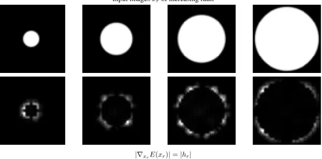 Figure 11: Absolute value of the gradient of the code z with respect to x r . We verify that in the case of a contractive encoder, the gradient of the code z of the disk image x r , with respect to the image itself, is indeed concentrated on a circle of ra