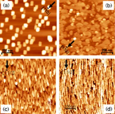 Figure 1.  1*1 µm² AFM images of a single layer of InAs nanostructures grown  on InP(001) substrate with 13.4 (a), 1.5 (b), 0.3 (c) sccm AsH 3  overpressure