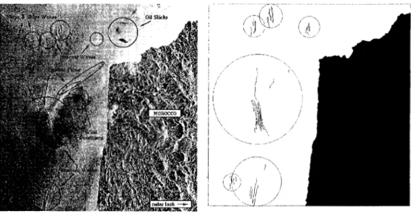Fig.  2:  Internal  wave feature  detection.  (a)  ERS-1  SAR image from  the  Strait of  Gibraltar  which  was acquired  on  September  IO,  1993,  covering  an  area of 100  km  x  JOO  km