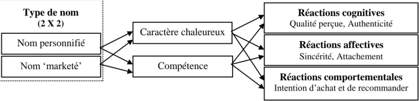 Figure 1 : Modèle conceptuel de l’expérimentation    