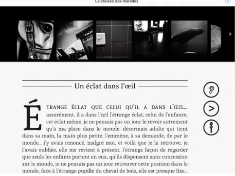 Fig. 3 - La Croisée des marelles et son carrousel (version iBooks sur iPad) 