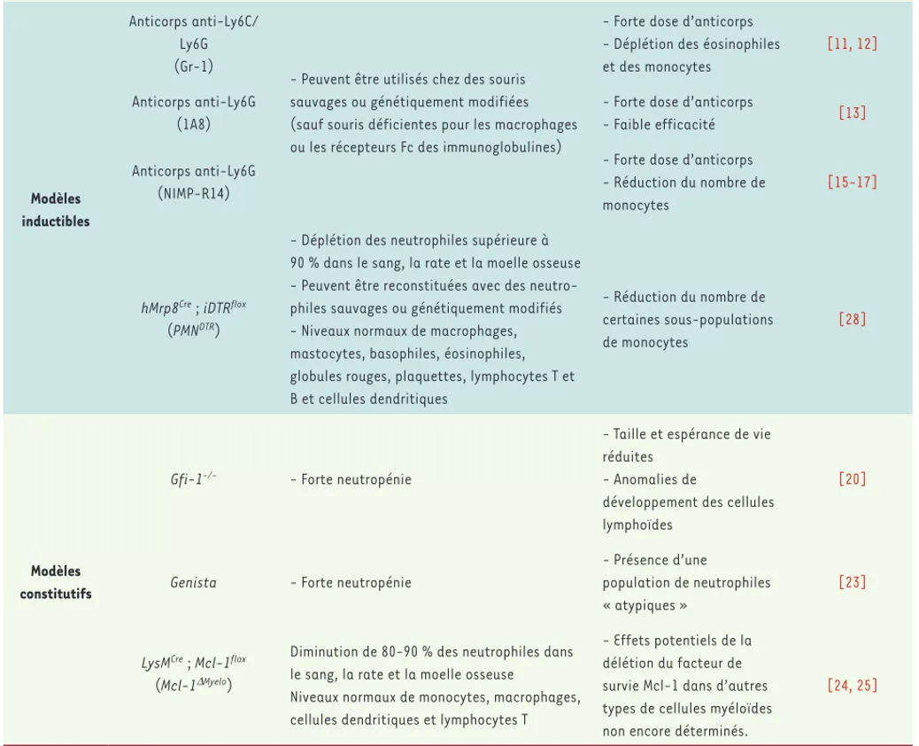 Tableau I. Principaux modèles d’étude des neutrophiles in vivo.