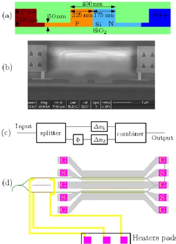 Figure 1. Cross section of the silicon phase-shifter: (a) schematic and (b) SEM image