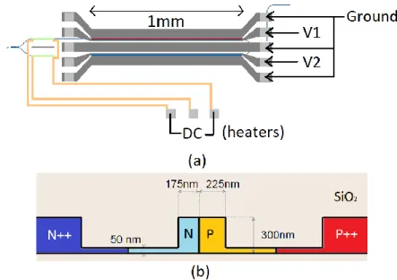 Figure 1. (a) Schematic top view of the dual-drive MZM, each phase shifter can be driven independently through coplanar  travelling-wave electrodes, and thermal heaters controlled with a DC voltage can  be used to tune the operating point