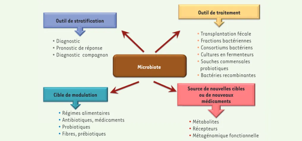 Figure 5. Applications potentielles du microbiote en santé humaine. Ces applications vont dans quatre directions différentes