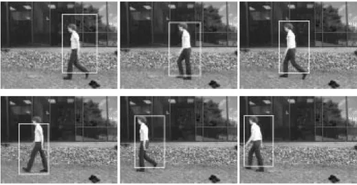 Fig. 5. Tracking a human walking in a straight line. We display the location of the expected window at frames 0, 10, 20, 30, 40 and 50.