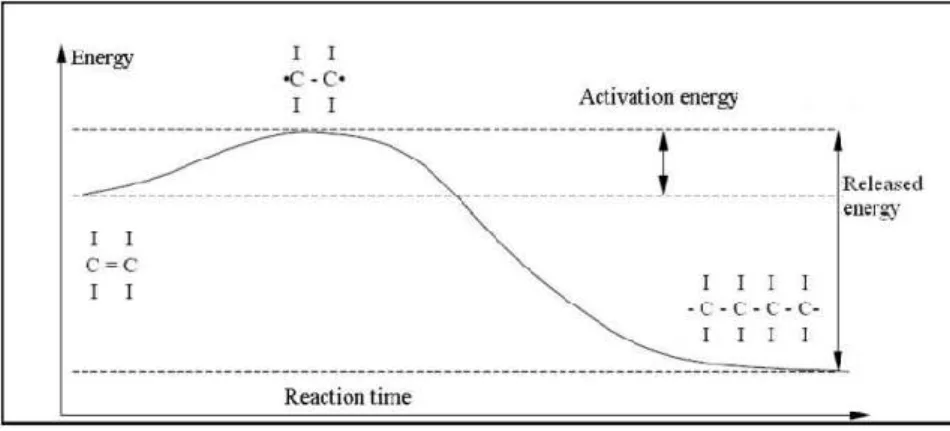 Figure I.2. Courbe énergétique de l’homopolymérisation[7]