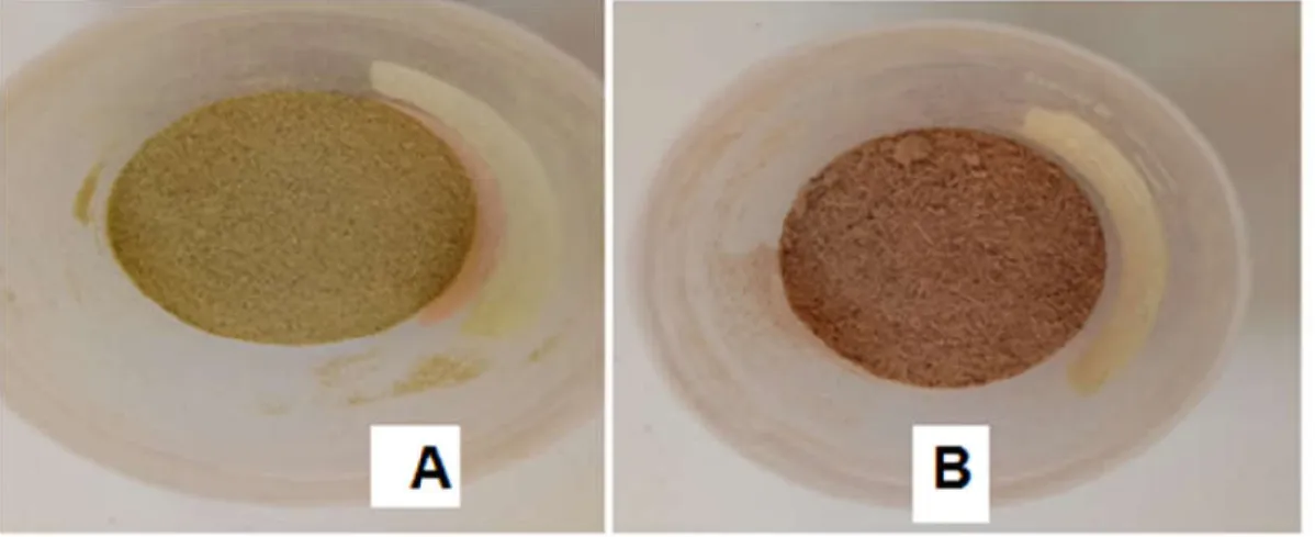 Figure III.7.Image de la fibre du palmier dattier,  (A) avant traitement (B) après  traitement par NaOH  