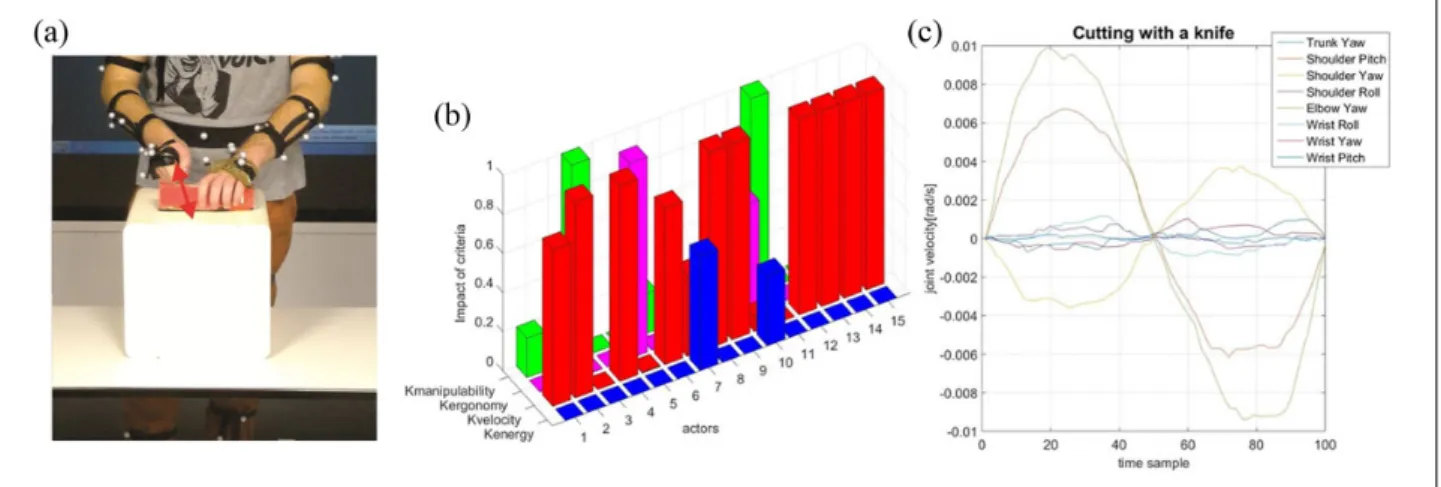 Figure 8. (a) “Grating of food” task. (b) Resulting weight coefficients defining the objective function—the criterion “minimization of kinetic energy” prevails