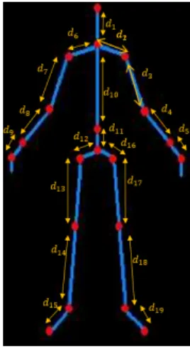 Fig. 4 Local features represented by the lengths of different parts of the skeleton.