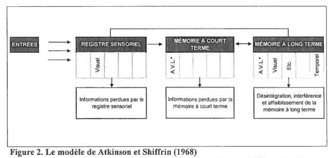 Figure 2. Le modèle de Atldnson et Shiffrin (1968)