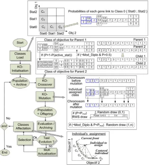 Fig. 3. Initialisation, mutation operator and crossover operator 