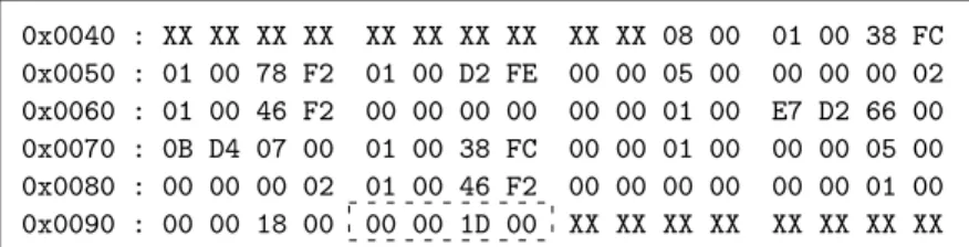 Fig. 10. Memory dump from the forged array.
