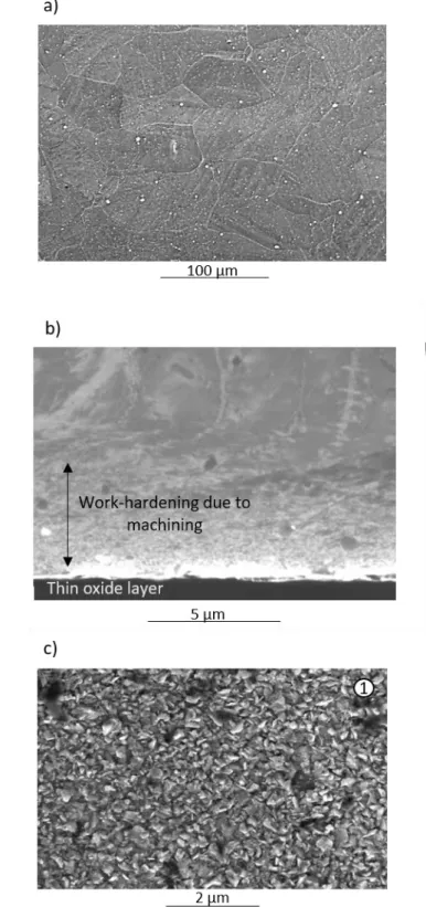 Fig. 2:  SE-SEM micrographs of : a) the core microstructure after mechanical polishing; b) the cross-section  microstructure of the interface after an exposure at 575°C in air for 2 h (a smooth ionic abrasion was done to reveal the 