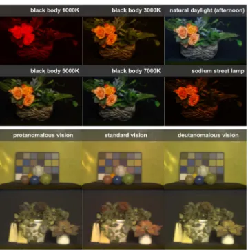 Figure 10: Multispectral-imaging applications. Spectral relight- relight-ing with ideal Planckian black body light sources of different  tem-perature, and relighting with natural day light and a high-pressure sodium street light (top row)