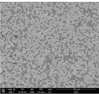 Figure 1: SEM picture showing the two-phase microstructure of Si-Al CE9F alloy 