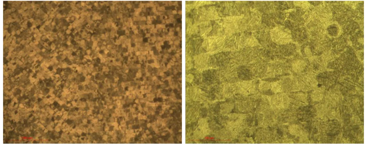 Figure 2: Microstructure observed for the Ti-6Al-4V sample at low magnifications 