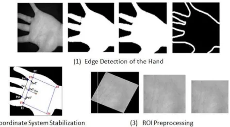 Figure 1 . The Palmprint Preprocessing: (1) Edge detection of the hand, (2) Coordinate System  Stabilization and (3) ROI Preprocessing 