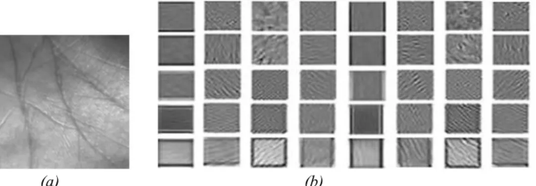 Figure 3.  Applying Gabor Filter Descriptor on palmprint image (a) The extracted palmprint ROI