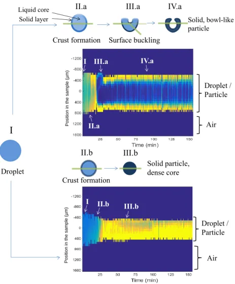 Figure 6: Schematic representation of the particle morphologies obtained in the present work: a bowl-like particle and a particle with a dense core.