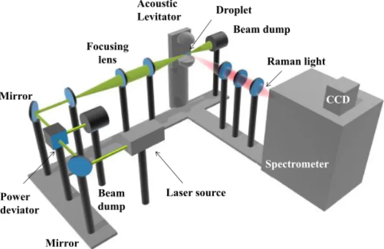 Figure 2: Sketch of the in-house engineered Raman set-up. The trajectory and diameter of the laser light is adjusted through a series of lenses in order to obtain a laser in the form of a thin cylinder inside the droplet