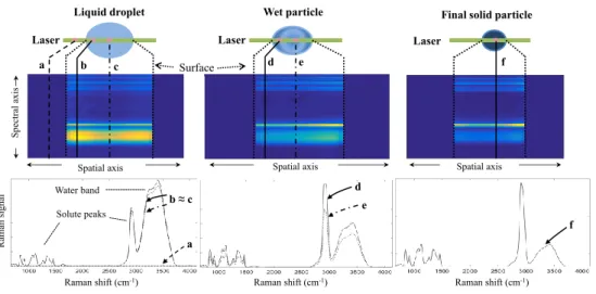 Figure 3: Representation of the acquired spectra at di ff erent positions in the droplet through the drying time