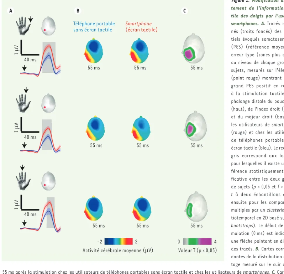 Figure 1.  Modification du trai- trai-tement de l’information  tac-tile des doigts par l’usage de  smartphones