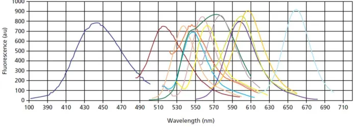 Figure 5: Courbes d’émission de fluorophores communs (Tirée de Sigma qPCR Technical  Guide, Sigma-Aldrich, 2008)