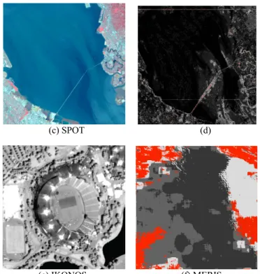 Fig. 1 Some Examples of Artifacts: (a) and (b) Shows a change of texture by aliasing. (c) Shows a sea picture where there a bridge