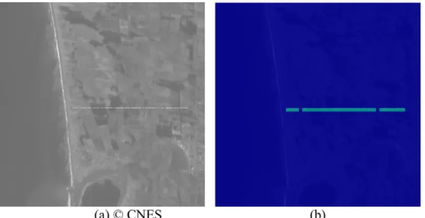 Fig. 9 Dropout (SPOT). (a) Some electronic losses during the image formation process create these randomly saturated pixels