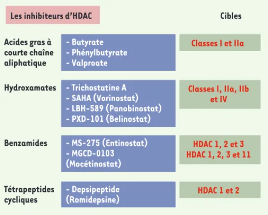 Figure 5. Les principaux inhibiteurs d’HDAC. Les inhibiteurs sont regroupés selon  leur structure chimique en quatre familles représentées ici par un ou plusieurs  membres