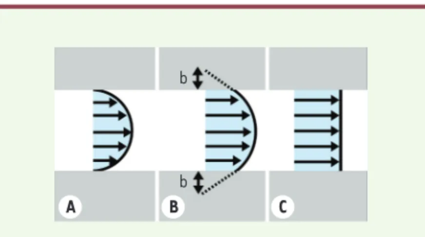 Figure 2.  Profils de vitesse d’un liquide s’écoulant dans un  tube. Profils de vitesse d’un liquide s’écoulant dans un tube  en l’absence de glissement à la paroi (A), pour un glissement  partiel avec longueur de glissement b (B), et pour un  glisse-ment 