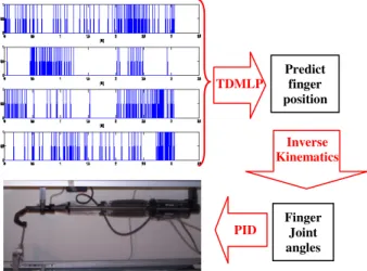 Fig.  2.  The  control  of  a  robotic  digit  of  4  DoF  using  activity  of  multiple CM cells