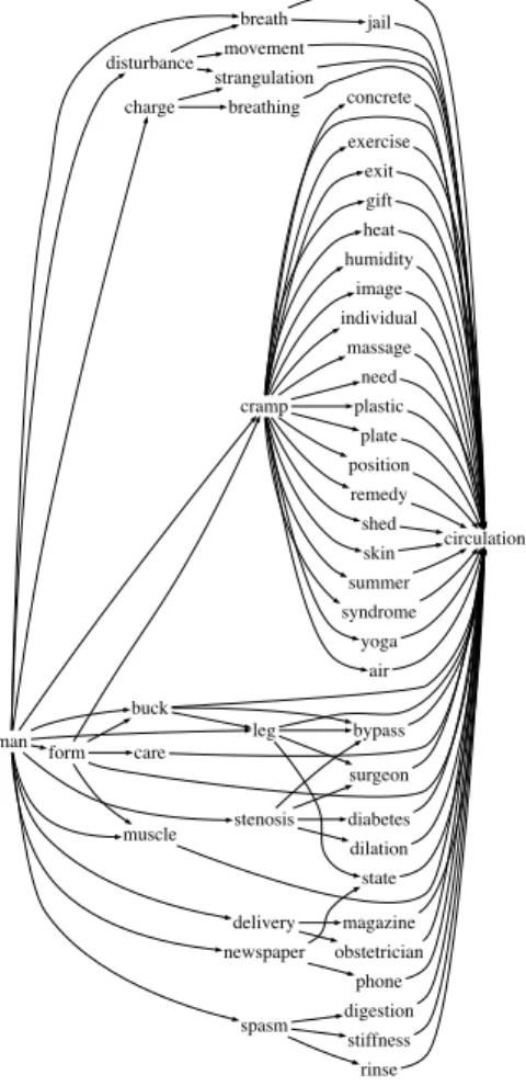 Fig. 1. Serendipity lattice for the pair man – circulation.