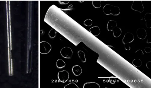 Figure 2 Photography and SEM picture of endodontic needle’s tip design.