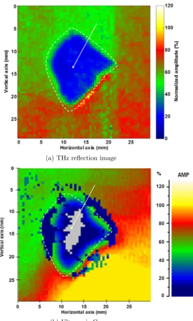 Fig. 6. Sample S2 verso.